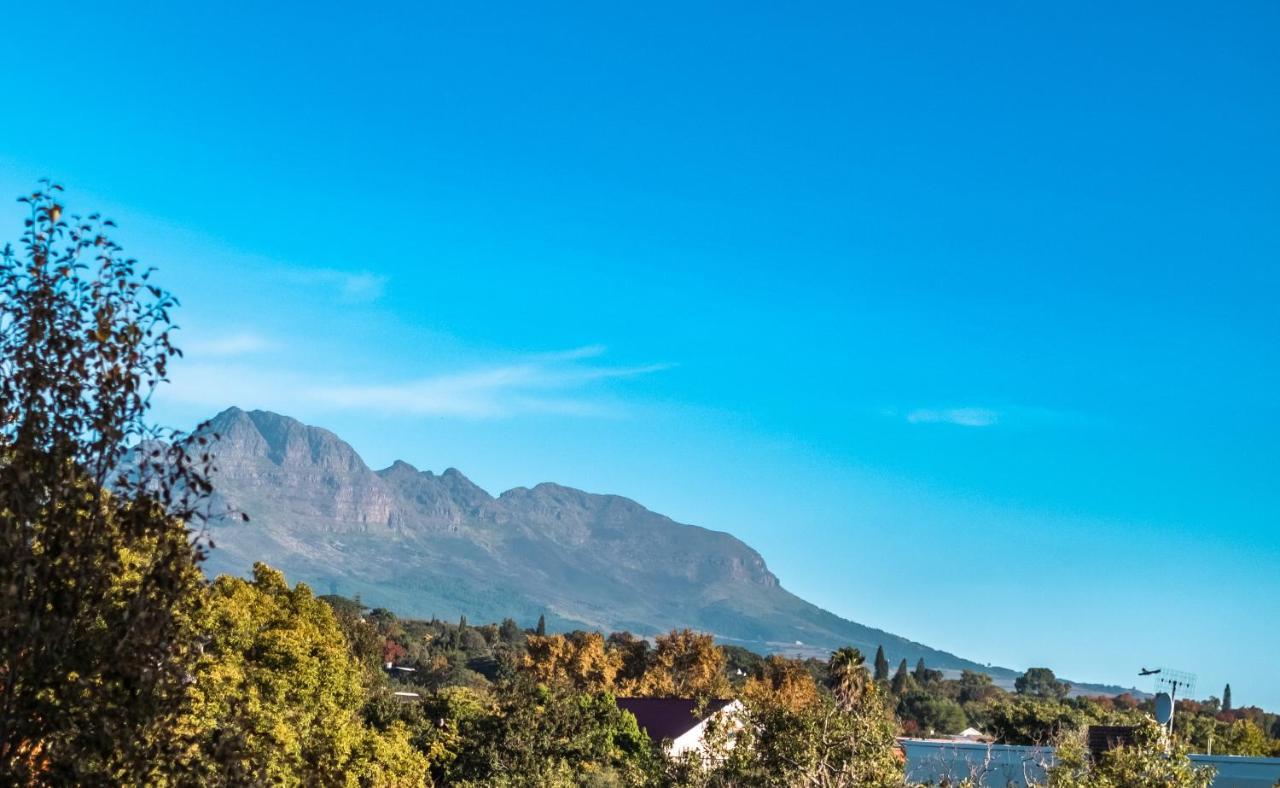 Luxury Suite Near Church Street Stellenbosch Eksteriør billede
